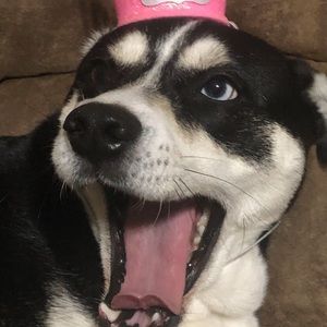 Meet your Posher, Jeremy